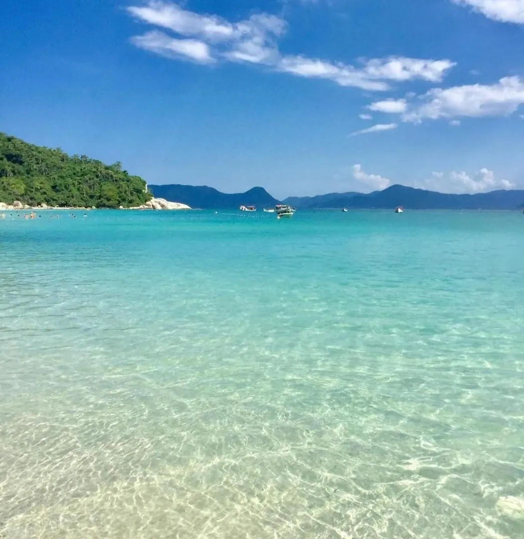 Apartamento Novo Campeche Em Florianópolis